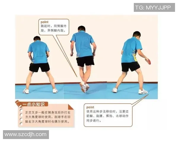 乒乓球新手必看：从基础技巧到实战配合的全面入门指南