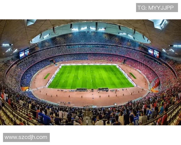 北京排球队在大师赛中的耐力与韧性表现分析与点评 北京排球队在大师赛中的耐力与韧性表现分析与点评