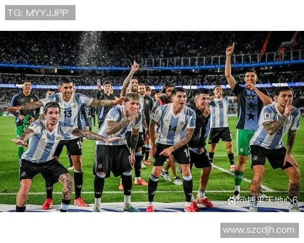 瑞典足球明星上帝的精彩瞬间与传奇故事揭秘