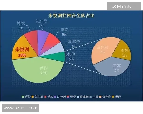 上海排球队总决赛战术解析与表现评估的深度分析 上海排球队总决赛战术解析与表现评估的深度分析