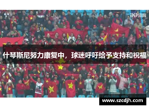 什琴斯尼努力康复中，球迷呼吁给予支持和祝福