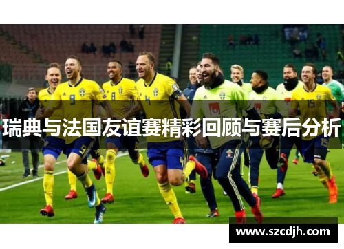 瑞典与法国友谊赛精彩回顾与赛后分析